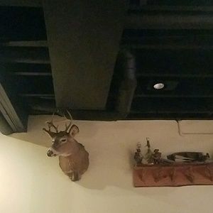 Meet your Posher, Kevin